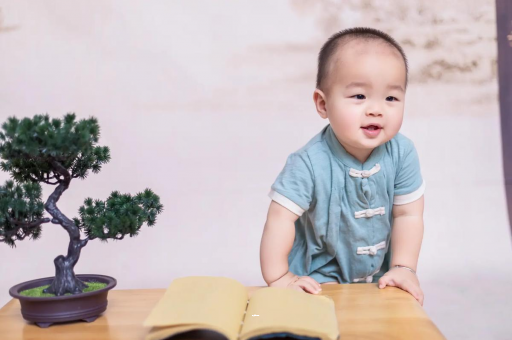 邵阳县可爱的企鹅宝宝
